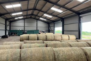 Photo 10- click for photo gallery